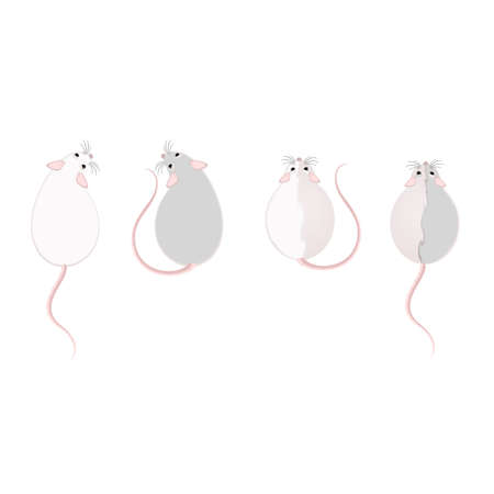 Lovely fluffy mice on a white backgroundのイラスト素材