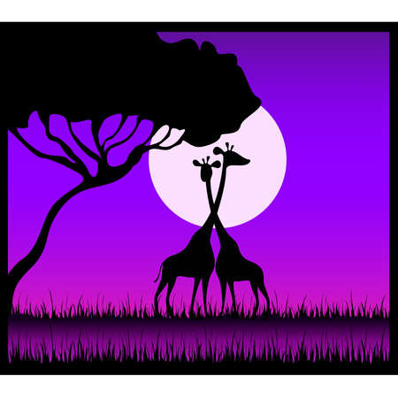 giraffes against a decline in a safariのイラスト素材