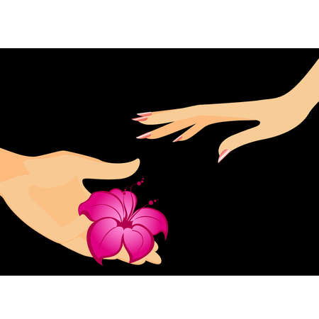 man's hand gives a flowerのイラスト素材