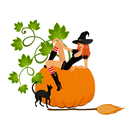 beautiful sexual witch and pumpkin and catのイラスト素材