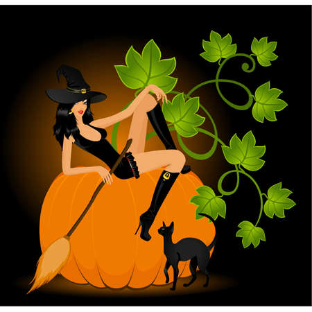 beautiful sexual witch and pumpkin and catのイラスト素材