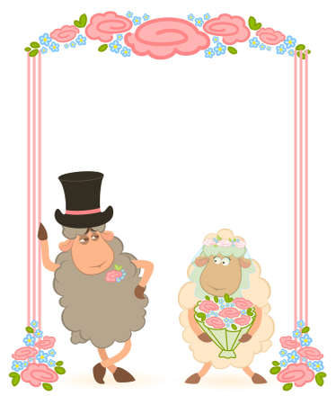 sheep bridegroom and bride の写真素材