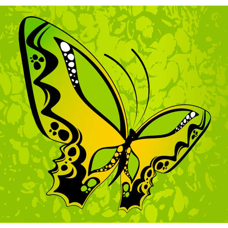 beautiful butterfly for a designのイラスト素材