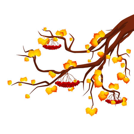 Background with autumnal tree with leaves.のイラスト素材
