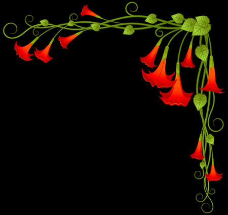 Background with beautiful  liliesの写真素材