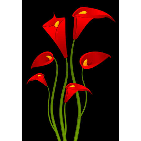 Beautiful tropical red lilliesのイラスト素材