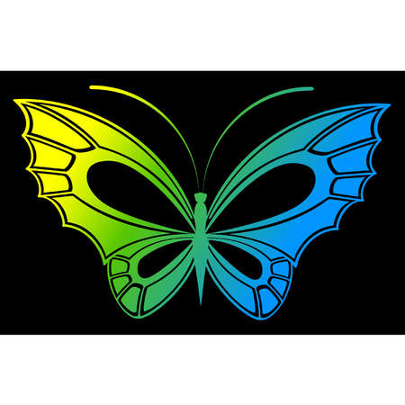 Vector beautiful butterflyのイラスト素材