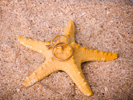 Beautiful sand background with exotic shellの写真素材