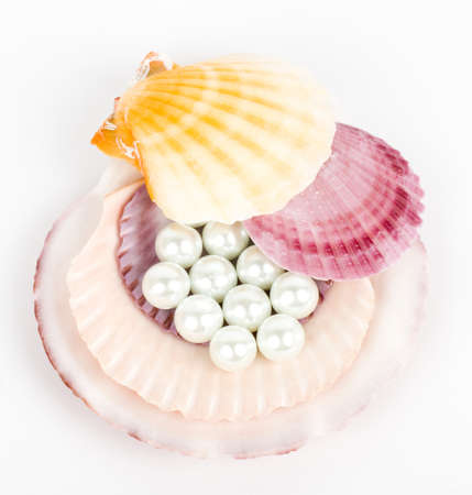 Beautiful exotic shell and pearls on white background の写真素材