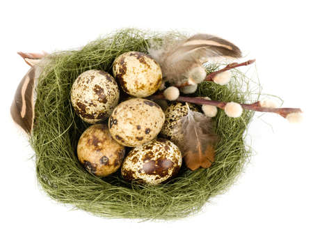 Nest with Easter quail eggs on white backgroundの写真素材