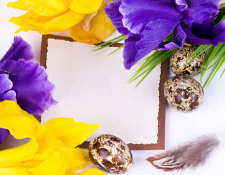 Banner add with Easter quail eggs and spring flowersの写真素材