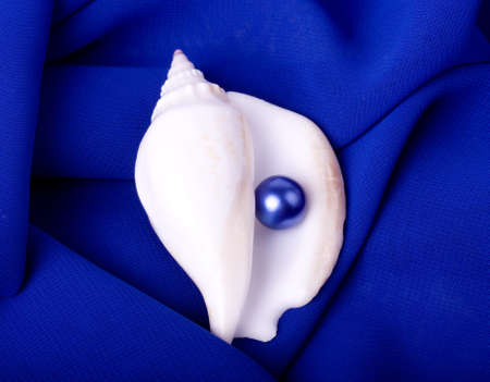 Beautiful exotic shell with pearl on blue backgroundの写真素材