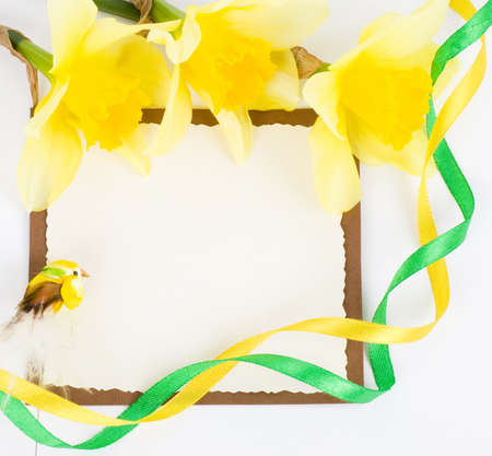 Beautiful spring yellow flowers