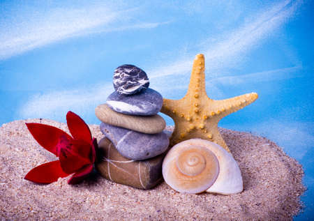 Beautiful exotic shell, stones, pearls and red flowerの写真素材