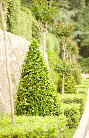 Spring flower garden backgroundの写真素材