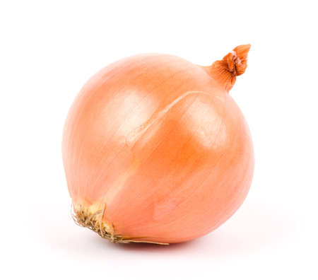 Onion isolated on white backgroundの写真素材