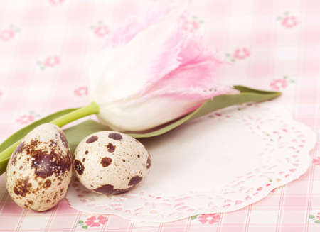 Quail eggs with pink tulip