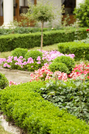 Pathway to gardenの写真素材