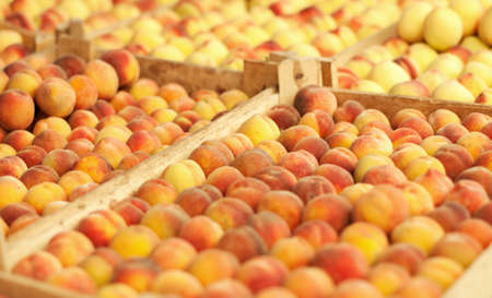 Tasty fresh peach backgroundの写真素材