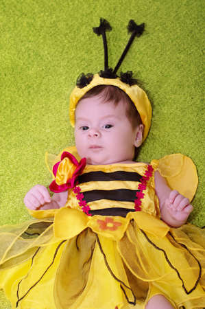 Honey Bee Baby on green backgroundの写真素材