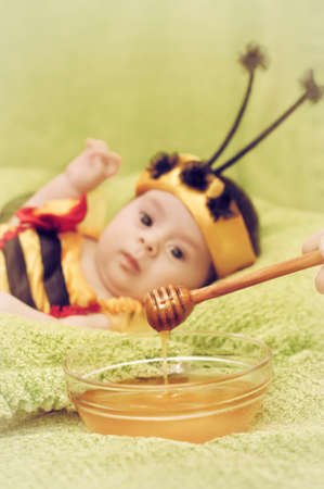 Honey Bee Baby on green backgroundの写真素材