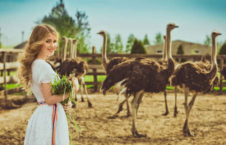 Beautiful Girl and Ostrich in the protected parkの写真素材