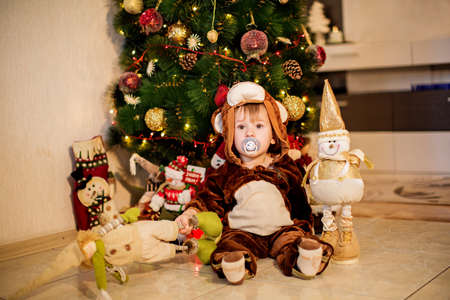 Baby boy in carnival costume near Christmas treeの写真素材