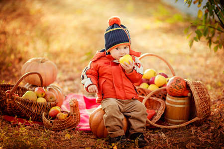 Beautiful baby boy in autumn gardenの写真素材