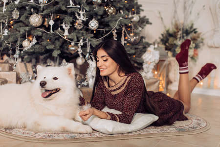 Happy girl with samoyed husky dog ??in Christmas decorationsの写真素材