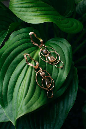 Beautiful earrings on green tropical leafの写真素材