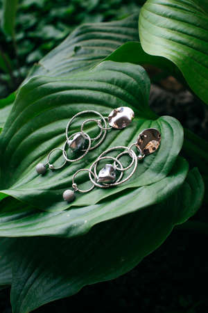 Beautiful earrings on green tropical leafの写真素材
