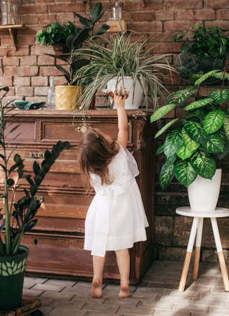 Portrait of beautiful little girl in summer gazeboの写真素材