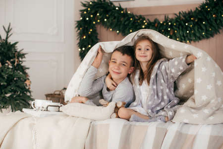Beautiful portrait of brother and sister in the Christmas decorations in the bedroomの写真素材