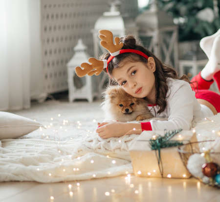 Happy little girl with dog in Christmas decorationsの写真素材