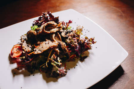 Stock Photo - Tasty vegetable salad with grilled chicken on a white plate