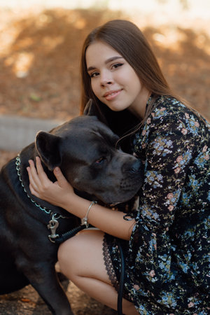 Beautiful happy young woman sitting on the grass hugging a dog. Love and affection for pets, friendship companion. dog breed - cane corsoの写真素材