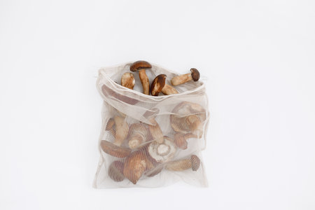 Polish mushroom from local market in reusable shopping bag over light background. Copy space. Top view. Organic food, edible fresh picked. Plastic Pollution, Ethical Consumerism, Healthy Eating concept.の写真素材