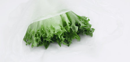 Raw lettuce from local market in plastic shopping bag over light background. Copy space. Top view....