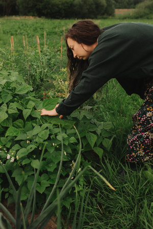 Female organic farmer rejoices over the harvest at her eco-farm. Concept green tourism, slow life,...