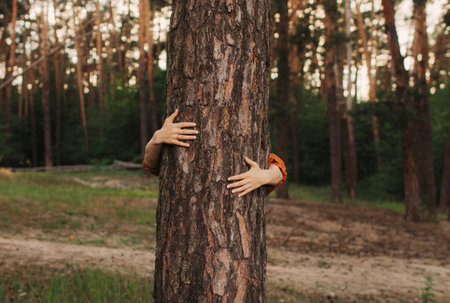 Hands of a young woman hug a tree in the forest and love for nature. Concept of environment and ambient nature care. People love planet earth and stop deforestation lifestyle.の写真素材