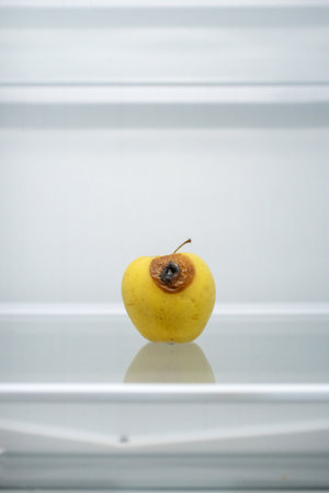 Moldy spoiled apple in the refrigerator. Improper storage, spoiled product, expired concept. Part of a series.の写真素材