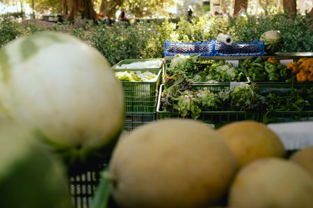 Fresh melons at small local urban market. Organic produce on sale at outdoor farmer market. Selling...
