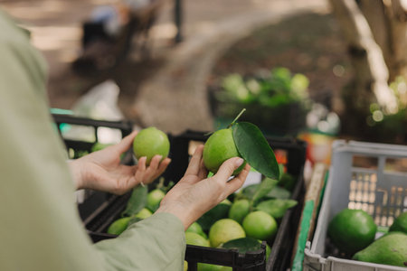 Close up of woman buying green lime on the local Farmers market. Mature Female Customer Shopping At...