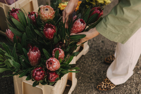 Close up lady's hands with flower on the local Farmers market. Mature Female Customer Shopping At Farmers Market Stall. Close up. Part of the series.の写真素材