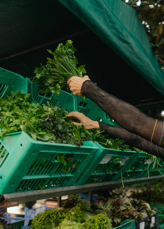 Close up of hand with a greens on the local Farmers market. Customer Shopping At Farmers Market Stall. Part of the seriesの写真素材