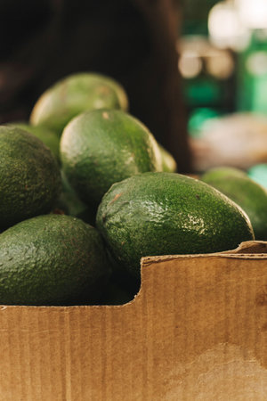 Freshly harvested avocados grouped together in a tight frame, showcasing their vibrant green color. Shopping At Farmers Market Stall. Close up. Part of the seriesの写真素材