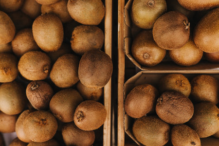 Fresh kiwi in cardboard packaging at small local urban market. Organic produce on sale at outdoor farmer market. European urban setting. Close up. Part of the series.の写真素材