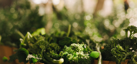 Fresh vegetables at small local urban market. Organic produce on sale at outdoor farmer market. Selling fresh crops and veggies harvest. European urban setting. Close up. Part of the series.の写真素材