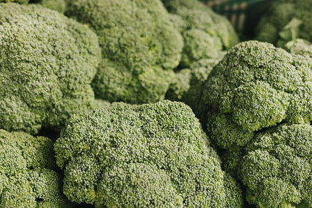 Fresh vegetables at small local urban market. Green background with broccoli. Selling fresh crops and veggies harvest. European urban setting. Close upの写真素材