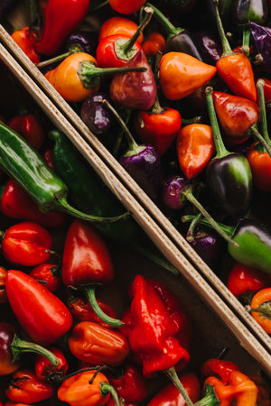 Mexican hot chili peppers colorful mix habanero poblano serrano jalapeno. Vegetarian food. Close-up, top viewの写真素材